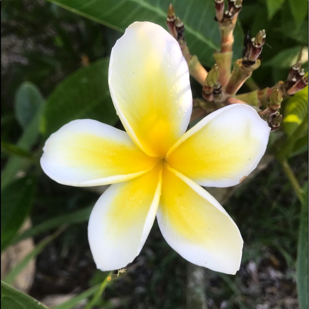 Meet your Posher, Top